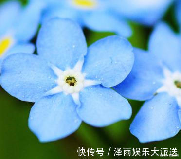 享福|孩子出生在几点钟,就像来报恩,从小到大让父母少操心多享福