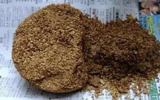 李大爷养虎皮兰,扔盆“2小东西”,根强、芽多、花满盆,好用!