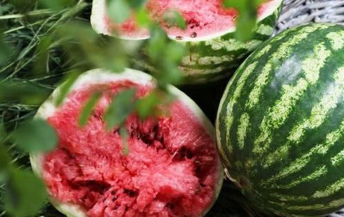 吃不完的西瓜不要放冰箱，瓜农教你此种做法，放2天也不会坏