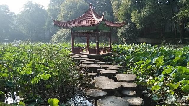 诗词|诗词:解道乡愁何处是，和风吹雨湿桃花