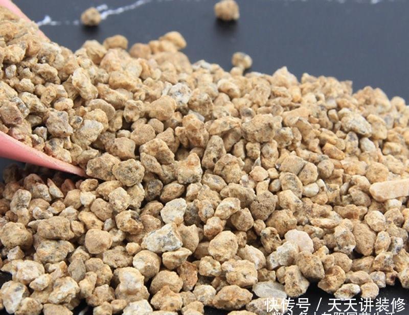 多肉怎么养才不死?加大颗粒比重,控制浇水量,指定养不死