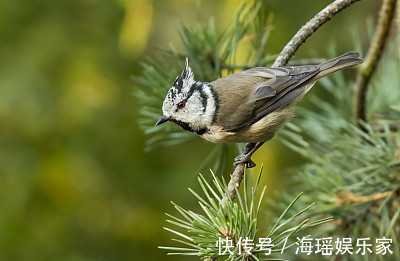 大富大贵|这两大生肖女，天生富婆命，后半生注定大富大贵，幸福甜蜜！