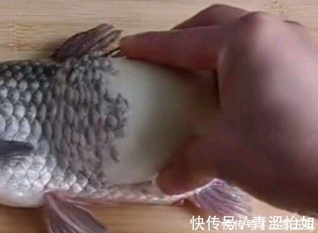 还在用菜刀刮鱼鳞？教你3个去除鱼鳞片小妙招，无需菜刀还不伤手