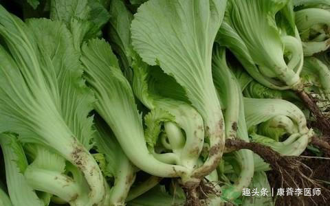 李医师|女人气血不足常吃以下食物,补血养血,面色红润,吃了都说好