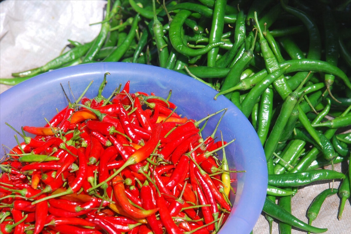 小米椒|小米椒降价了，保存不能直接放冰箱，给你支一招，放一年还很新鲜