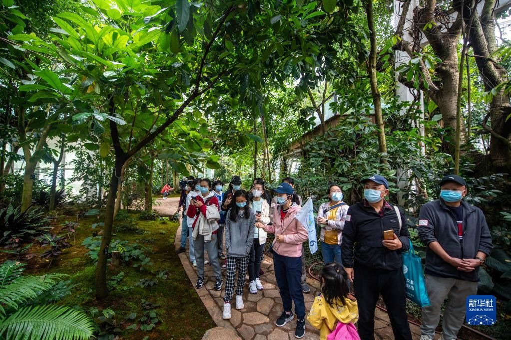 预约参观|昆明植物园“扶荔宫”实行线上预约参观