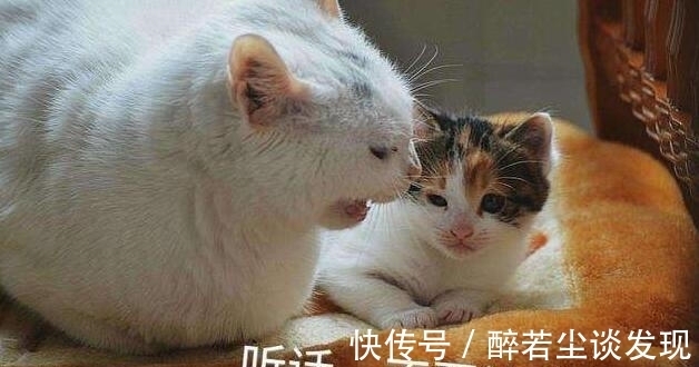 |爆笑段子：老师，她要逃课，我帮你拽着的！