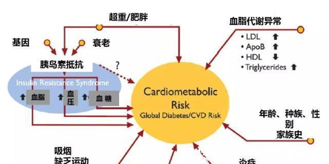身体|高血脂,身体的“定时炸弹”!不管哪个年龄段都需要看看这篇文章
