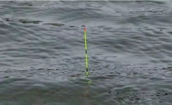 调高钓底和调低钓高,字相同意不同,搞错了的后果就是钓不上鱼