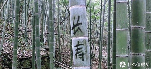 山阴道上行 如在画中游|旅行日志 篇一：绍兴 · 萧绍古道 | 中年