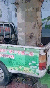 |搞笑GIF：女朋友聪不聪明不重要，反正她的力气是真不小