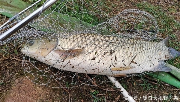 杂货铺|会钓鱼的一根杆，不会钓鱼的人杂货铺！