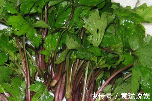 清热解毒|只有在春季农村才会有的野菜,清热解毒,你最爱吃哪种