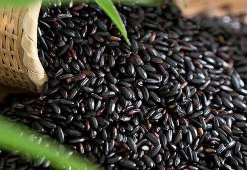 黑米|好食物吃出好身体,女性不妨多吃这7种食物,补充营养,延缓衰老