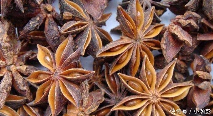 香料|羊肉“最忌讳”的香料,放了“它”,羊肉就白炖了