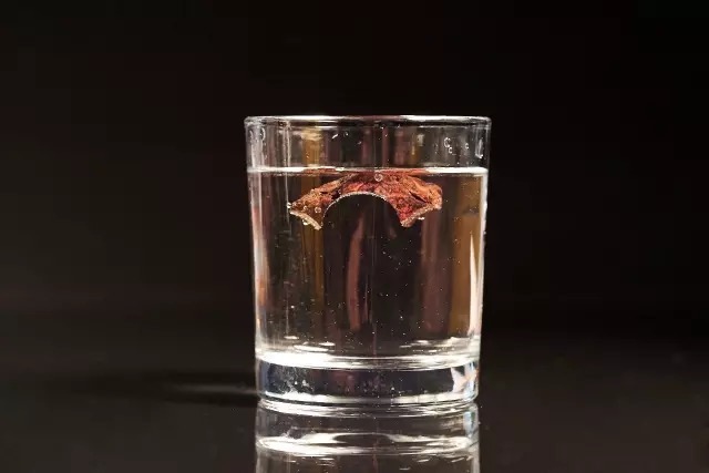 海黄|海黄是否沉水,与真假无关