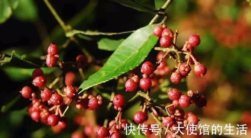 大肚腩|减肥期间多吃6种食物，早上准时上厕所，大肚腩悄悄没了！