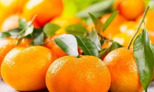 肝细胞|吃了不显老的食物，推荐常吃，清热去火，减脂养颜，预防早衰