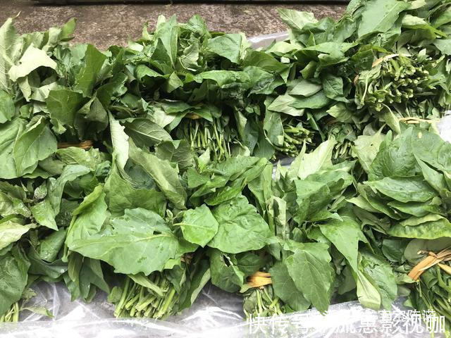 城里人|农村里不值钱几种野菜,都是城里人的抢手货,第6种80块钱1斤