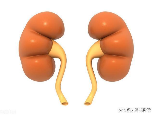 肾脏|高血压患者,查出肾衰竭!医生:早改掉2个坏习惯,肾脏会很好