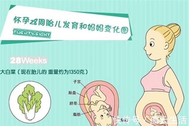 地方|育儿说:怀孕7个月宝宝是在什么位置的?从这些地方能够看出来