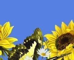 人心$良言20句,见证人心,看透人性看一次胜读十年书