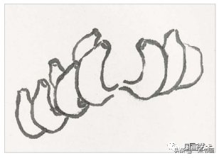 教程@图文教程——芭蕉画法