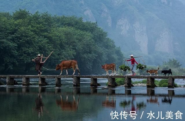 摄影|浙江这个超惊艳的山水秘境，傍山近水冬暖夏凉，堪称夏日避暑胜地