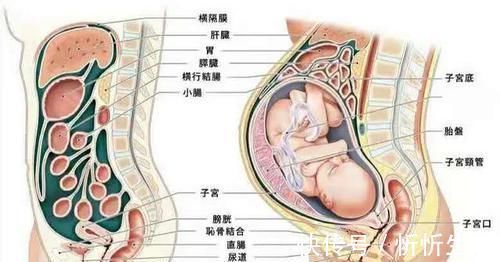 修复|产后坐月子到底是坐几天坐得越久是不是恢复得越好