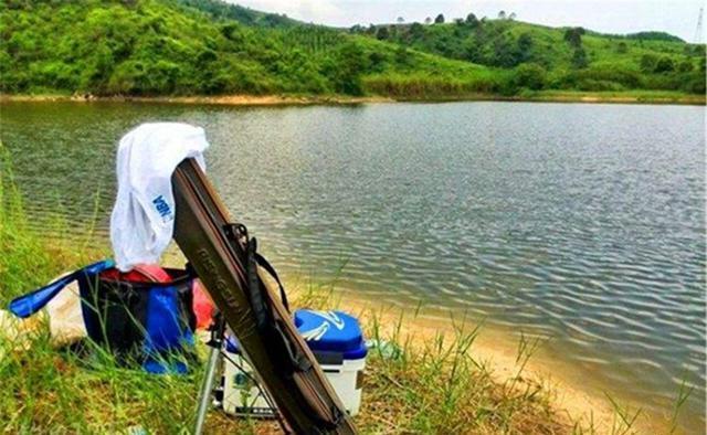 夏季|夏季野钓,钓位选择要灵活,天气不同、时间不同,出鱼位置有变化