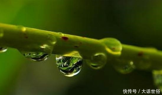 做人|做人要懂三个人,不能欠,欠了会影响一辈子