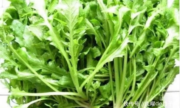 大肚子|鸡蛋和此物一起炒，头不昏了，眼不花了，大肚子平了，早知早受益