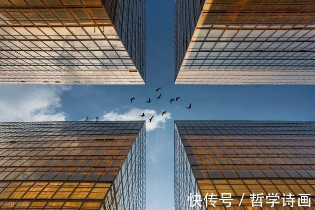 容器#哲学诗画原创诗歌三首,一起品读诗意时光