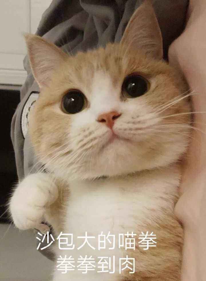 |爆笑段子:我在电子厂打工的时候,跟厂花恋爱了!