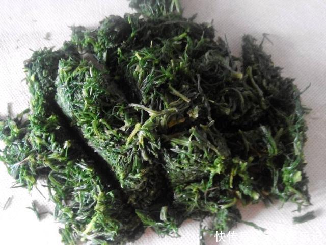 野菜|最高可长1米，一茬可割4次，含钙量超过牛奶，包饺子超美味