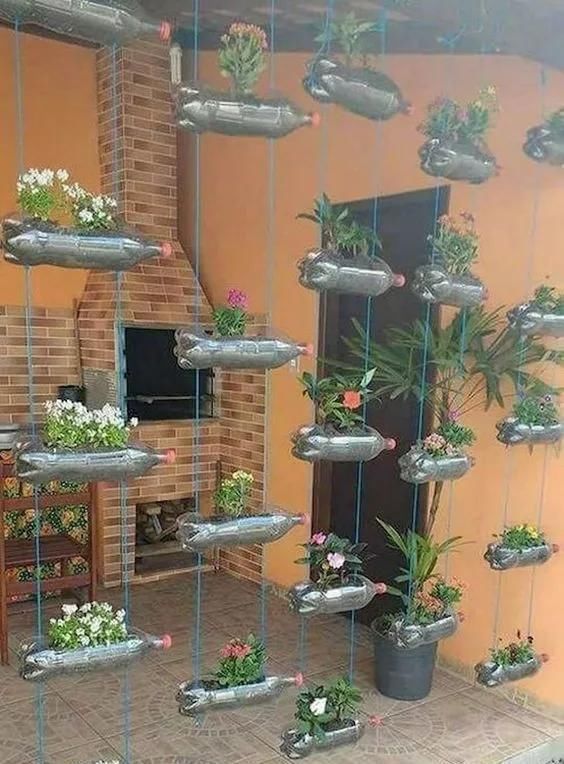 植物|没地种花种菜,没时间浇水几个塑料瓶就能解决,DIY变废为宝