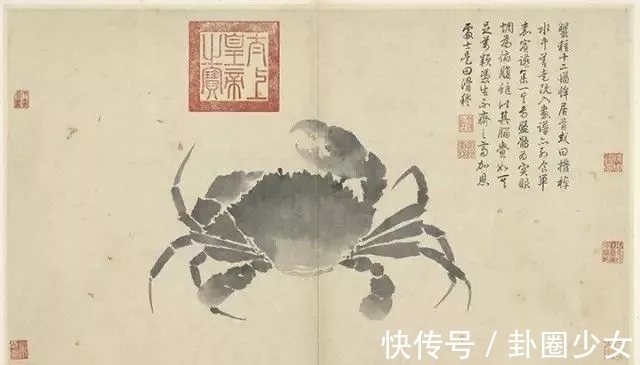 观物写生册&明代对景写生大家|沈周花鸟画《观物写生册》