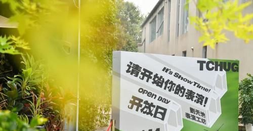 李梅|被骂的顶流,为什么都要感谢她?