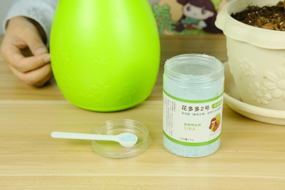 超级实用的水培指南，学会轻松变身养花达人，养花没难度