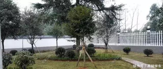 中式合院|9套经典案例告诉你，为什么农村盖房，中式合院会如此受欢迎！