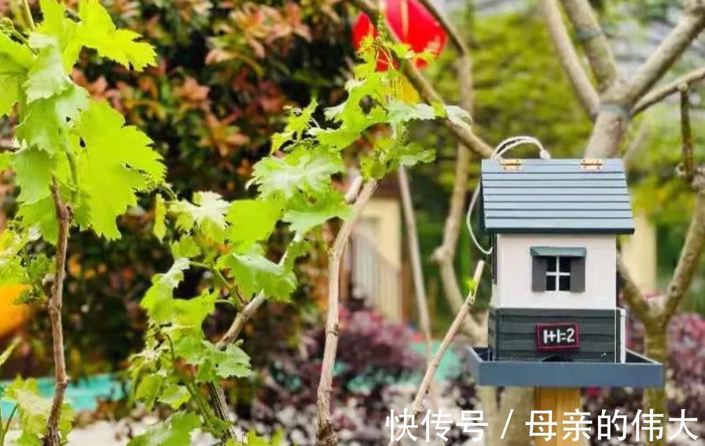 阿力|6岁前不给孩子立规矩,再好的教育都是无用