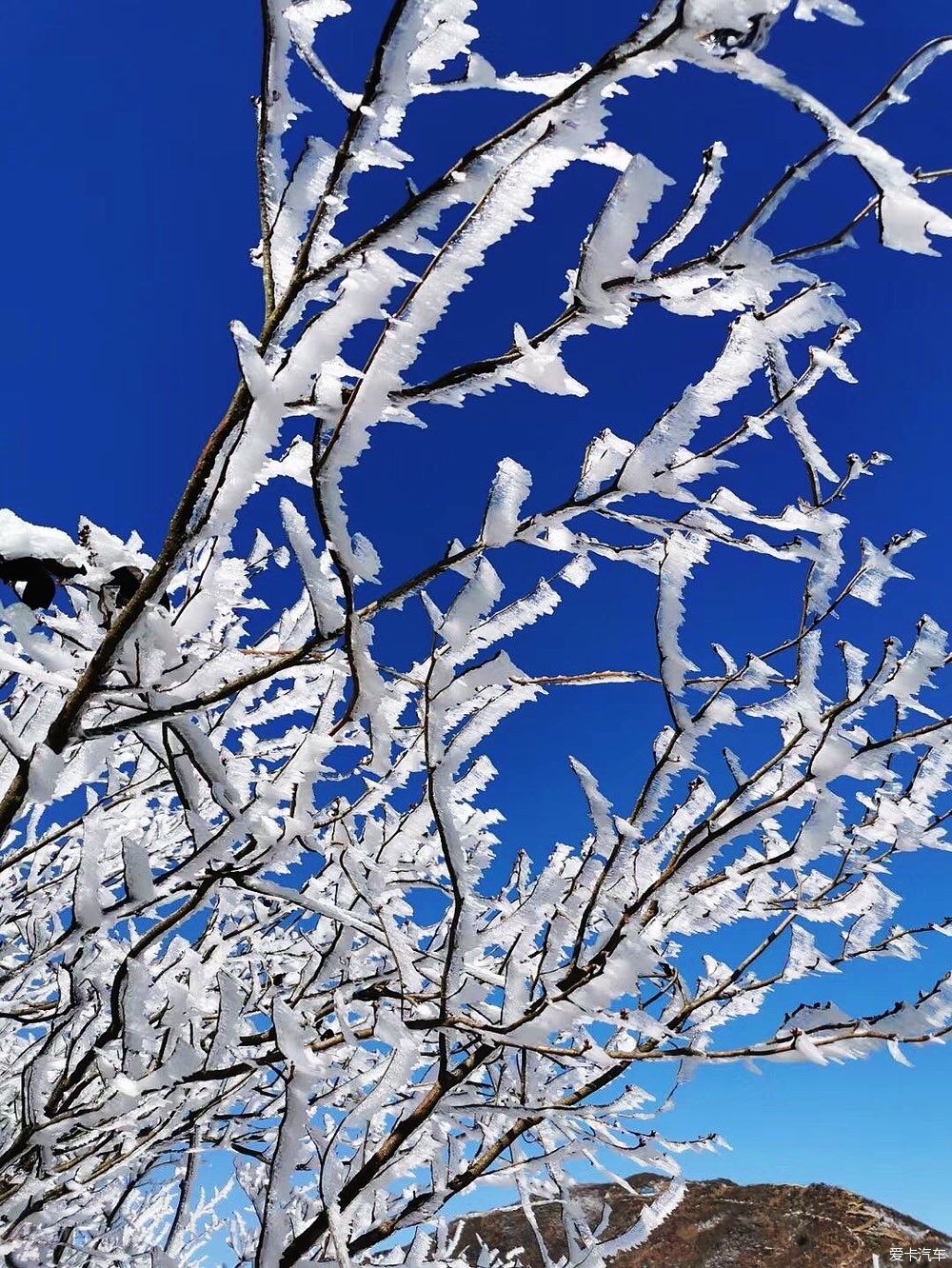 西藏|冬天的雪是上帝写给人间的诗