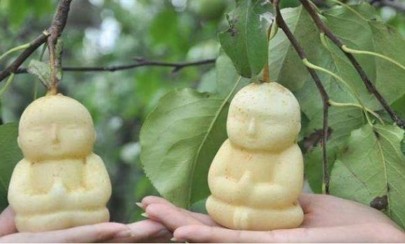 吴承恩&为何西游记中的“人参果”,放在超市水果店里,几乎没有人买