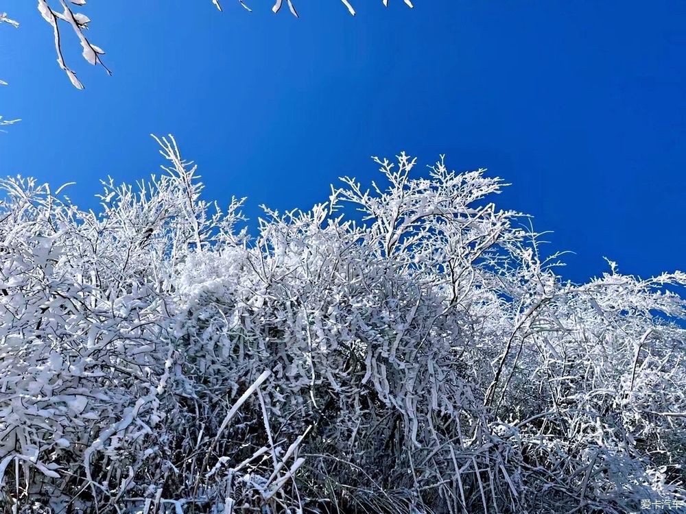 西藏|冬天的雪是上帝写给人间的诗