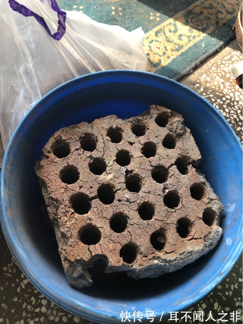 花盆里垫点小东西,大大增加透气性,养花不烂根!