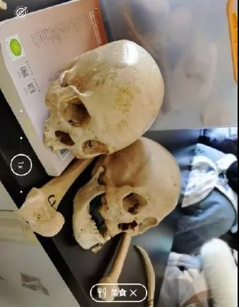 智障|人工智能or人工智障?这些AI其实是想笑死人类然后占领地球吧