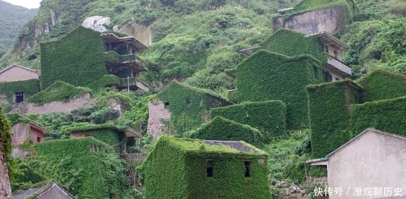 实拍浙江枸杞岛无人村：村民全部搬走成鬼村，墙上长满爬山虎如童话世界