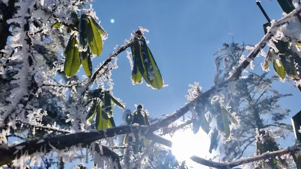 瓦屋山也下雪啦！长达半年的最佳赏雪期，不要错过！