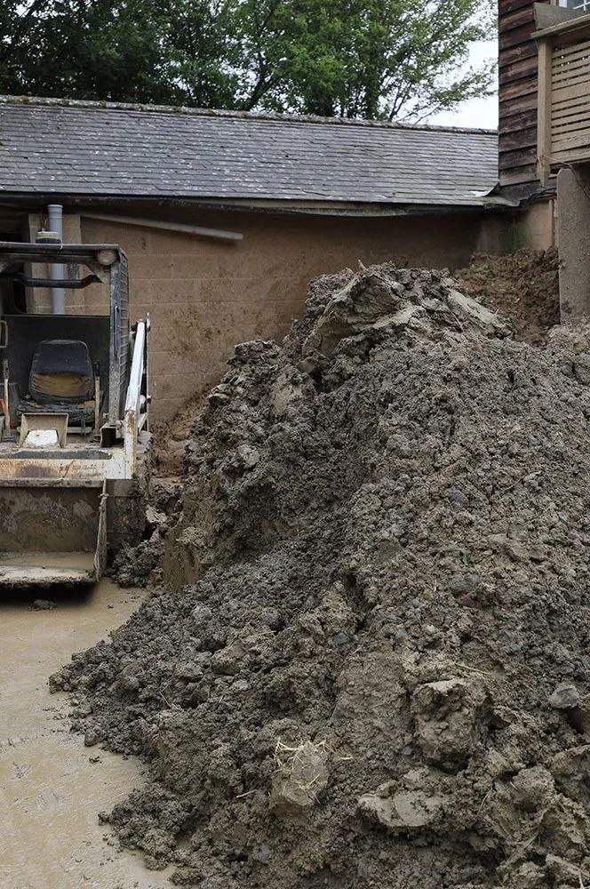  看完这个，想把家里花盆丢了