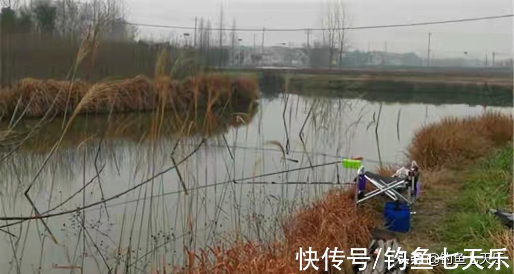 冬季想钓大板鲫，鱼饵、天气、鱼竿以及钓位，一个都不能少